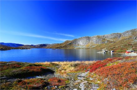 Fjellandskap høst