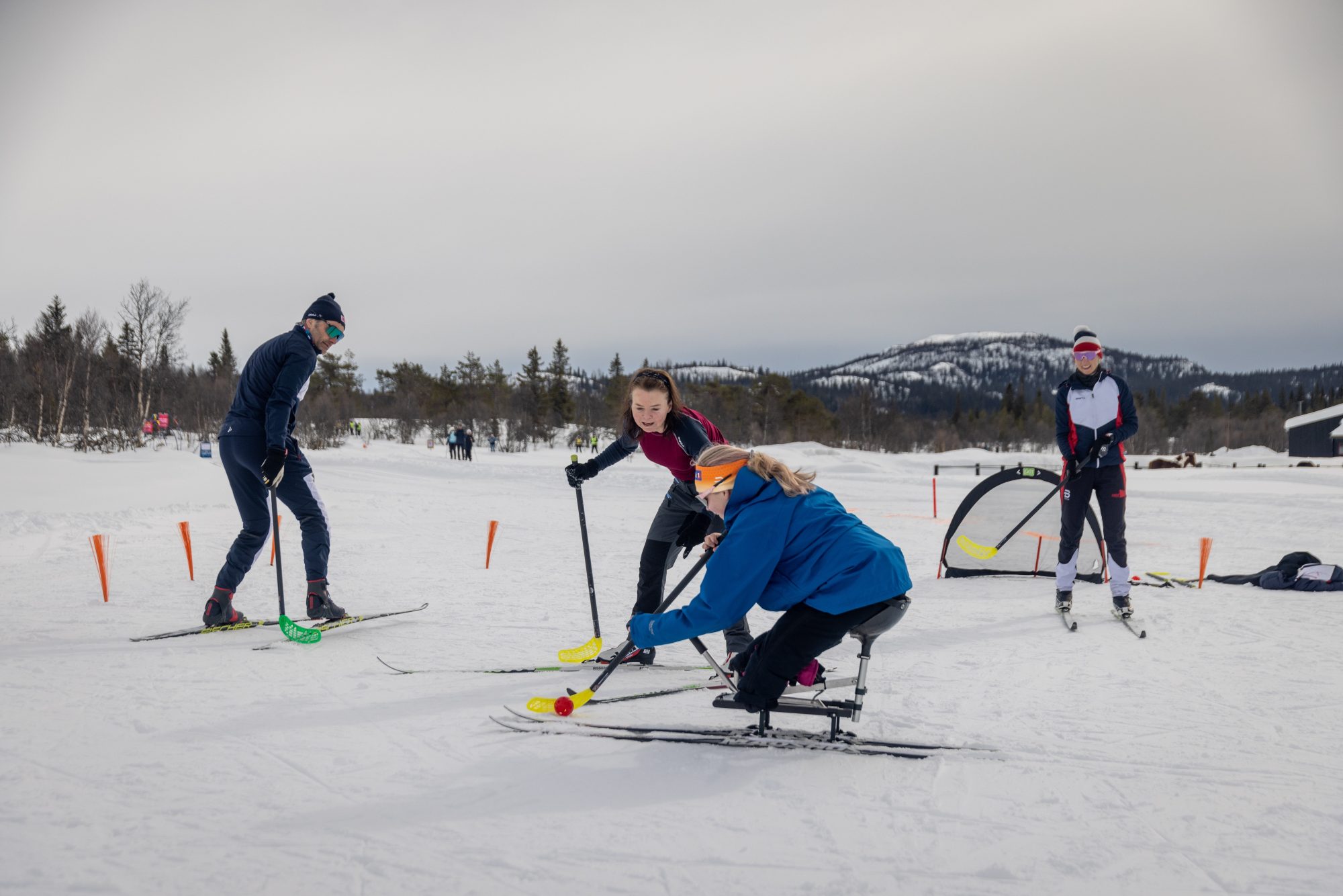 Bandy på langrennski